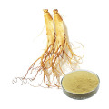 Organic Herbal Ginseng Extract Root Powder Price